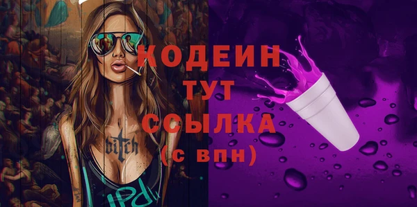 индика Инта